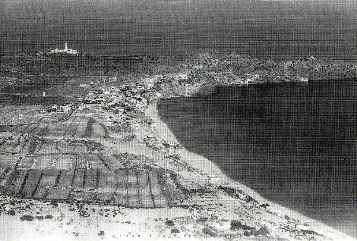 CAP FALCON PAR MONNERET   (2).JPG
